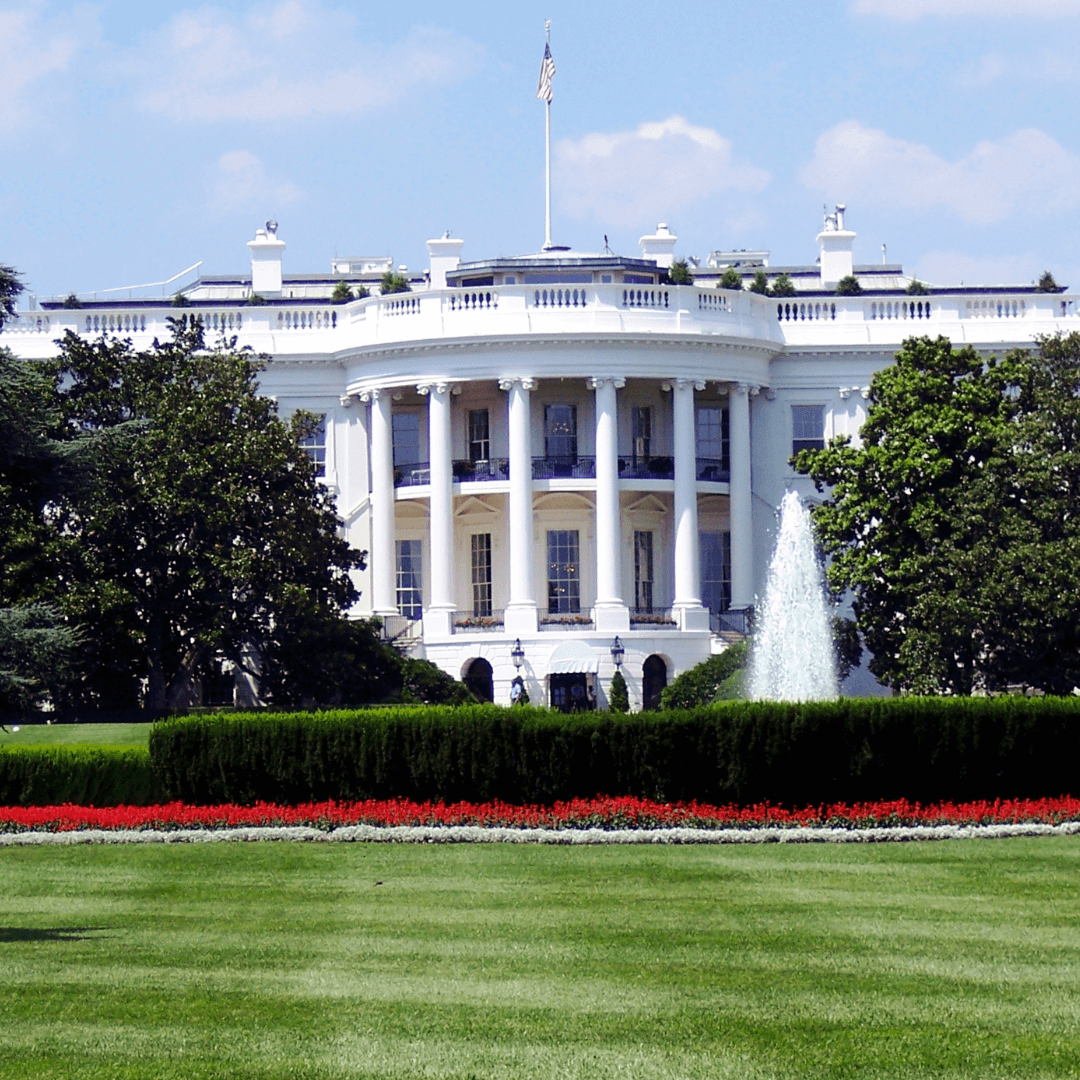 white house